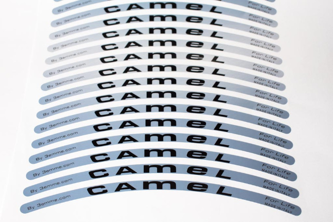 Etichette adesive in poliestere argento